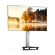 XTRARM Proton 100 Pie-TV aluminio