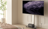 XTRARM Proton 100 Pie-TV aluminio