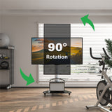 XTRARM Proton 100 Pie-TV aluminio
